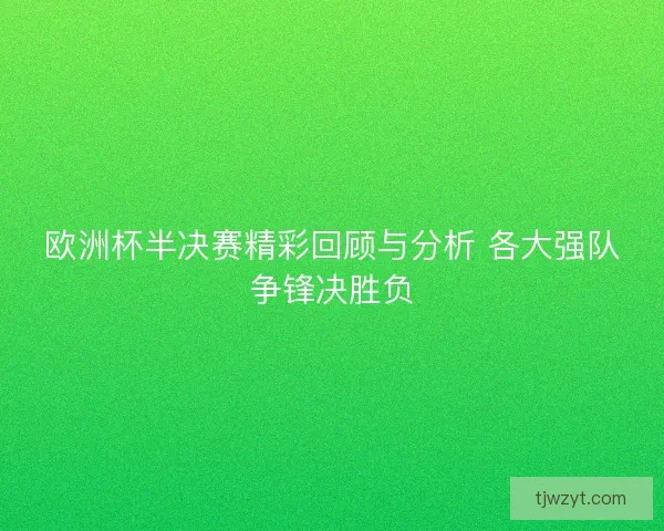 欧洲杯半决赛精彩回顾与分析 各大强队争锋决胜负